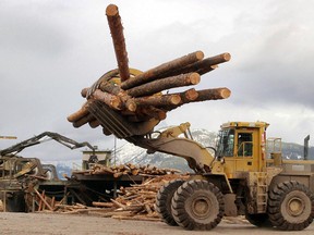 Tree trunks are transported through a Tembec Inc. lumber yard in Canal Flats, British Columbia, Canada, in this March 10, 2004 photo.  Photographer: Norm Betts/Bloomberg News
