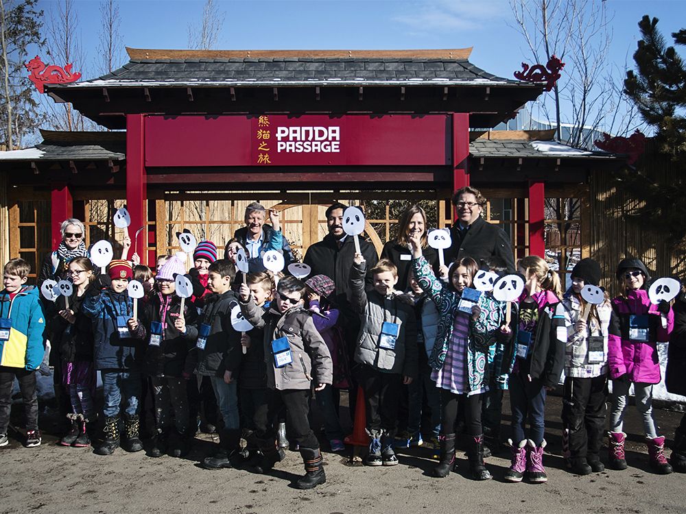 Calgary Zoo Panda Exhibit Set To Open May 7 National Post   180409pandapassage01 Copy 