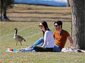Prince's Island was great for both geese and Calgarians to enjoy the sunny spring afternoon in Calgary, Monday April 24, 2017.