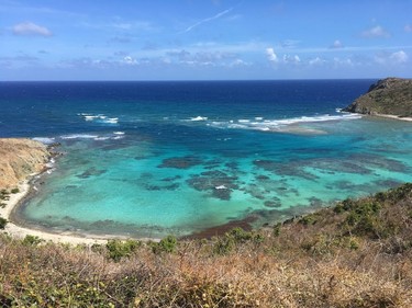 Protected bays on Norman Island in the British Virgin Islands make for great snorkelling. Photo, Michele Jarvie