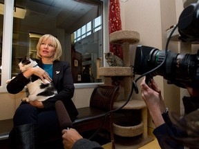 Laureen Harper holds a cat during a visit to the Edmonton Humane Society on October 25, 2012.