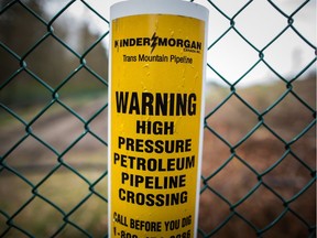 Kinder Morgan says it will scrap expansion of the Trans Mountain pipeline unless its conditions are met by May 31, including an end to B.C.'s legal and political roadblocks.