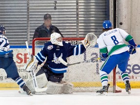 Dylan Williamson has been strong for the AJHL's Calgary Canucks.