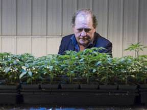 Terry Booth, CEO of Aurora Cannabis Inc.