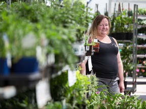 Lisa Silva, Marketing Manager with Blue Grass Garden Centre just north of Calgary, believes garden centres like her's should be able to sell cannabis seedlings and seed. Silva was photographed at the garden centre on Wednesday, May 16, 2018. Gavin Young/Postmedia