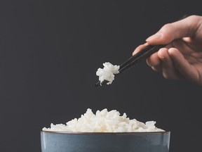 A decrease in the nutritional value of rice could have a severe effect on human health.