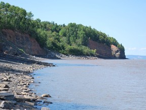 Blue Beach, near Nova Scotia's Annapolis Valley, is shown in a handout photo. A species of fish that lived 350 million years ago has been discovered in Nova Scotia, casting new light on a little-understood time period. The discovery was made by Jason Anderson, a vertebrate paleontologist at the University of Calgary, and his team in 2015. THE CANADIAN PRESS/HO