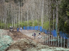 Workers build a fence in preparation for the expansion of the Trans Mountain pipeline at the Kinder Morgan Inc. oil facility in Burnaby, B.C., on April 9, 2018.