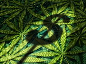 Aurora Cannabis Inc will buy rival MedReleaf Corp for $3.2 billion, the companies said on Monday, the biggest deal yet to unify major Canadian marijuana growers.