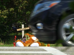 Cars pass through a crosswalk next to a roadside memorial on Acadia Drive S.E. on Wednesday, May 23, 2018, where two women were struck by a pickup truck on Tuesday. An 83-year-old woman died at the scene, while her 21-year-old companion remains in hospital.