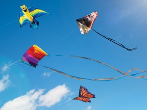 Fourth Annual Kite Festival in Hidden Valley.