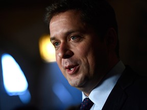 Conservative Leader Andrew Scheer speaks to reporters about the government's plan to buy the Trans Mountain pipeline, on Parliament Hill in Ottawa on Tuesday, May 29, 2018.