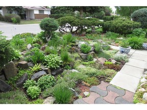The Cvach garden in the community of Queensland was a bare lot in 1975 when the house was built. Jerry and Judy Cvach had the builder bring in extra loads of loam to create the undulating landscape for a rock garden.