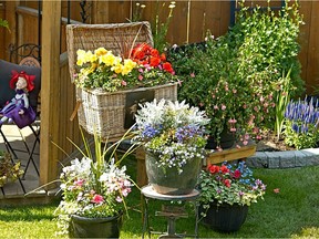 Calgary's iffy spring weather can be overcome by planting in containers. Courtesy Winston Goretsky