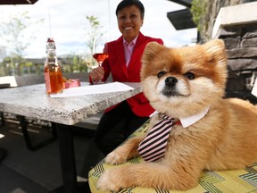 Vin Room owner Phoebe Fung with Dom on the patio at their West location in Calgary. Vin Room offers a three-course tasting menu for dogs.