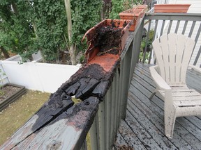 A scorched planter on a deck in Calgary.