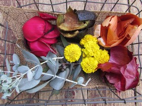 Gather plant materials for making natural dyes, such as eucalyptus leaves, marigold petals, red and yellow onion skins, red rose petal and avocado skins.