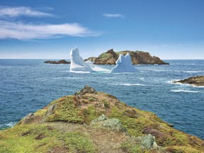 iceberg viewing Newfoundland