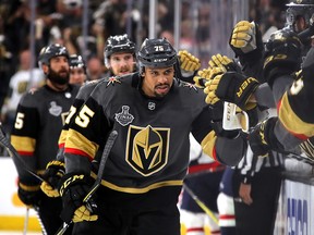 Ryan Reaves was a physical force for the  Vegas Golden Knights during the 2018 Stanley Cup Final.