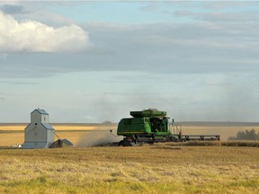 A farmer cuts a swath through a field during harvest season near Mossleigh, Alberta, southeast of Calgary, Alta on Wednesday September 21, 2016. Jim Wells//Postmedia