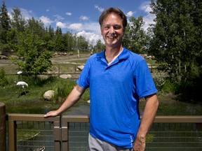 Dr. Alex Moehrenschlager, director of conservation and science at the Calgary Zoo, poses for a photo with the two whooping cranes at the zoo on Friday June 22, 2018. Leah Hennel/Postmedia