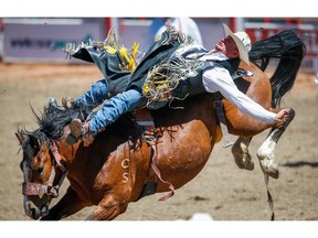 Jake Vold of Airdrie, Alberta rides Welcome Delivery to a score of 88 in Day 3 of the Bareback Riding event during the 2018 Calgary Stampede on Sunday, July 8, 2018. Al Charest/Postmedia