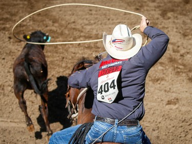Texas cowboy Tuf Cooper posted a time (6.8 seconds) in the tie-down roping event on Championship Sunday during the 2018 Calgary Stampede on Sunday, July 15, 2018. Al Charest/Postmedia