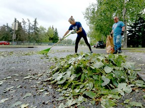 John and Barb Cline clean up leaves in front of their house on Sunmills Drive S.E. after a fierce hailstorm late Monday afternoon.