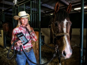 Dr. Erin Thompson-Shields checks in on the health of chuckwagon driver Jordie Fike's horse Send Um in the chuck barns on the Stampede grounds in Calgary, on Thursday July 5, 2018. Leah Hennel/Postmedia
