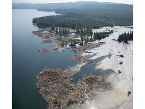 Debris flows into Quesnel Lake after a tailings pond breach near the town of Likely, B.C., in 2014.