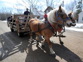 A Fort Edmonton Park horse drawn wagon in Edmonton on Saturday Apr. 19, 2014.