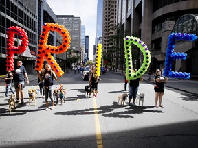 Bowdog walkers carry balloons with a message in the Pride Parade in downtown Calgary on Aug. 31, 2014.