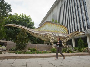 A model of a Spinosaurus is displayed outside the entrance at the National Geographic Society in Washington.