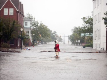 A bear statue stands amid lood waters from the Neuse River in New Bern, North Carolina, September 14, 2018 during Hurricane Florence. - Florence smashed into the US East Coast Friday with howling winds, torrential rains and life-threatening storm surges as emergency crews scrambled to rescue hundreds of people stranded in their homes by flood waters. Forecasters warned of catastrophic flooding and other mayhem from the monster storm, which is only Category 1 but physically sprawling and dangerous.