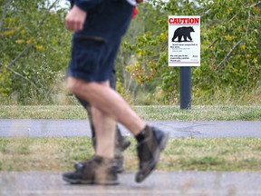 A sign warns of a black bear in the area along Glenmore Reservoir near Glenmore Landing on Monday, Sept. 10, 2018.