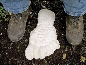 John Bindernagel, one of North America's forermost experts on Sasquatch, shows a plaster model of a supposed Sasquatch made from prints. Postmedia files