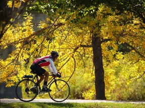 Calgarians enjoyed the changing colours of fall  along the Bow River pathway in Sunnyside on Tuesday September 11, 2018.