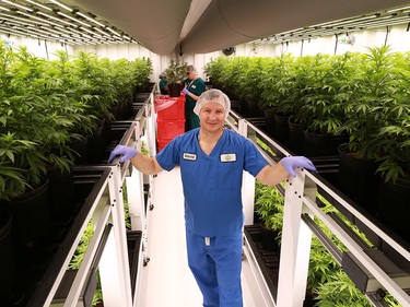 Boaz Crafting Cannabis president David Isaak was photographed in one of the company's grow pods in Calgary on Wednesday September 26, 2018. Gavin Young/Postmedia