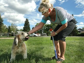 Calgary dog owner Jacqui Gislason gave her dog Kalie a pat after walking her at the Cambrian Heights Dog Park on July 3, 2010.