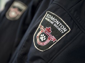 An Edmonton Humane Society employee is facing charges after three cats in the group's care were left in a transport vehicle for 22 days.
