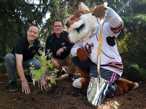 Jeff Chynoweth, Calgary Hitmen General Manager, left, Mike Moore, Calgary Hitmen Vice President  and Farley the Fox, Calgary Hitmen Mascot plant a silver poplar in Garden of Life at the Calgary Zoo during their announcement One ticket, One Tree on Wednesday September 26, 2018. Leah Hennel/Postmedia