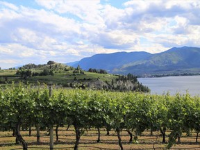 Lakeside vineyards in Naramata. Photo courtesy Curt Woodhall