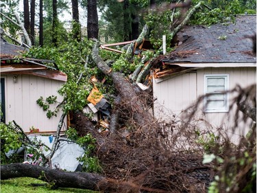 COLUMBIA, SC - OCTOBER 11: A fallen tree rests on a house after remnants of Hurricane Michael passed through on October 11, 2018 in Columbia, South Carolina. The accident sent at least one person to the hospital.