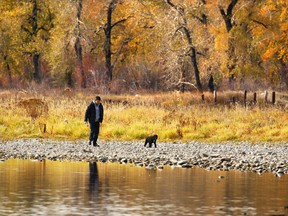 A man walks his dog along the Bow River in Calgary on Sunday, Oct. 14, 2018.