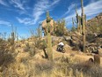 An image of a mountain biker cycling through McDowell Sonoran Preserve in Arizona - Things to do in Scottsdale