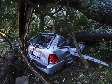 A vehicle sits under a fallen tree where an occupant was trapped due to tropical storm winds brought by Hurricane Michael, Thursday, Oct. 11, 2018, in Atlanta. Firefighters rescued the woman and she was transported to a hospital. (John Spink/The Atlanta Journal and Constitution via AP) ORG XMIT: GAATJ301