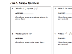 Some examples of the types of questions that will appear on a new no-calculators portion of the Grade 9 provincial achievement test