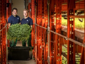 Reid Henuset and Paul Shumlich of Deepwater Farms in Calgary's first commercial aquaponics farm on Tuesday, Nov. 20, 2018.