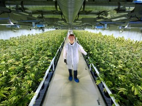 Aurora Cannabis’s chief corporate officer Cam Battley stands in one of the 10 marijuana grow rooms inside the company's 55,000 square foot medical marijuana production facility near Cremona, Alberta.