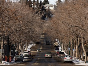 A tree-lined street in the older neighbourhood of Bridgeland.